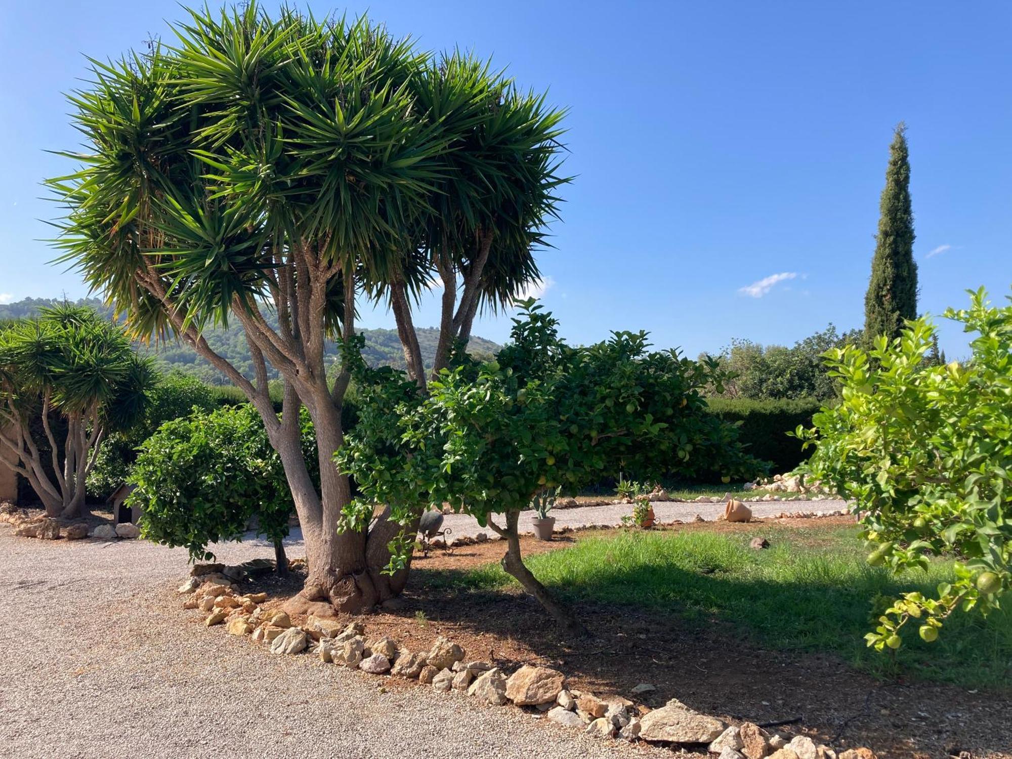 Casa Eden With Private Pool Villa Artá Kültér fotó